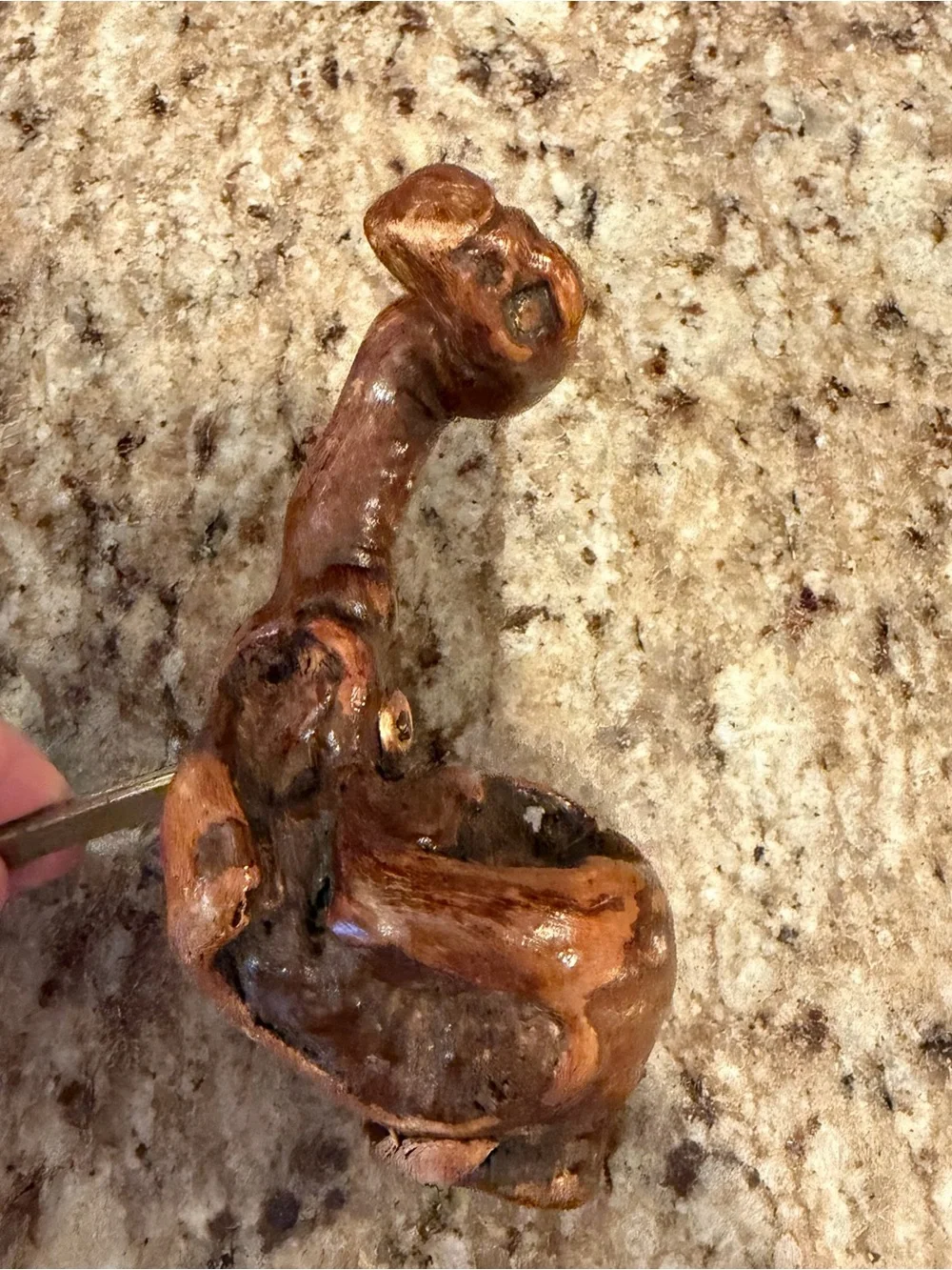 Vintage Burl Root Dark Wood Wine Corkscrew Primitive Rustic Folk Art Barware